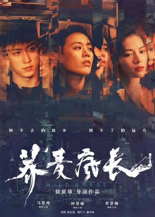 怎么购买计算机应用能力考试证书